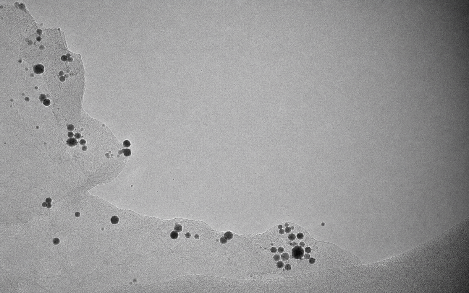 Neutral demonstration in-situ TEM frame