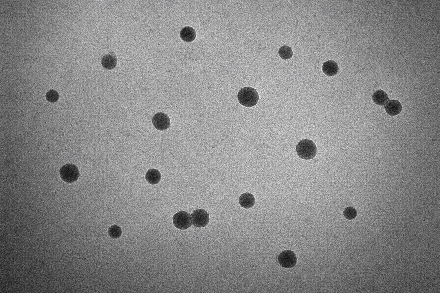 Neutral demonstration TEM image containing dispersed particles